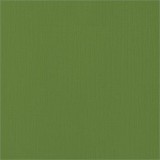AC Cardstock - Spinach 30.5 x 30.5 cm
