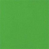 AC Cardstock - Grass 30,5 x 30,5 cm
