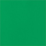 AC Cardstock - Emerald 30,5 x 30,5 cm