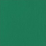 AC Cardstock - Evergreen 30,5 x 30,5 cm