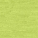 Bazzill Cardstock - Parakeet 30.5 x 30.5 cm