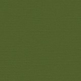 Bazzill Cardstock - Nixon 30.5 x 30.5 cm