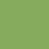 Bazzill Cardstock - Lime Crush 30.5 x 30.5
