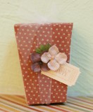 Stanzservice: Big Shot Pro Popcorn Box