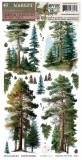 Campfire Memories - Essential Rub-On Transfers