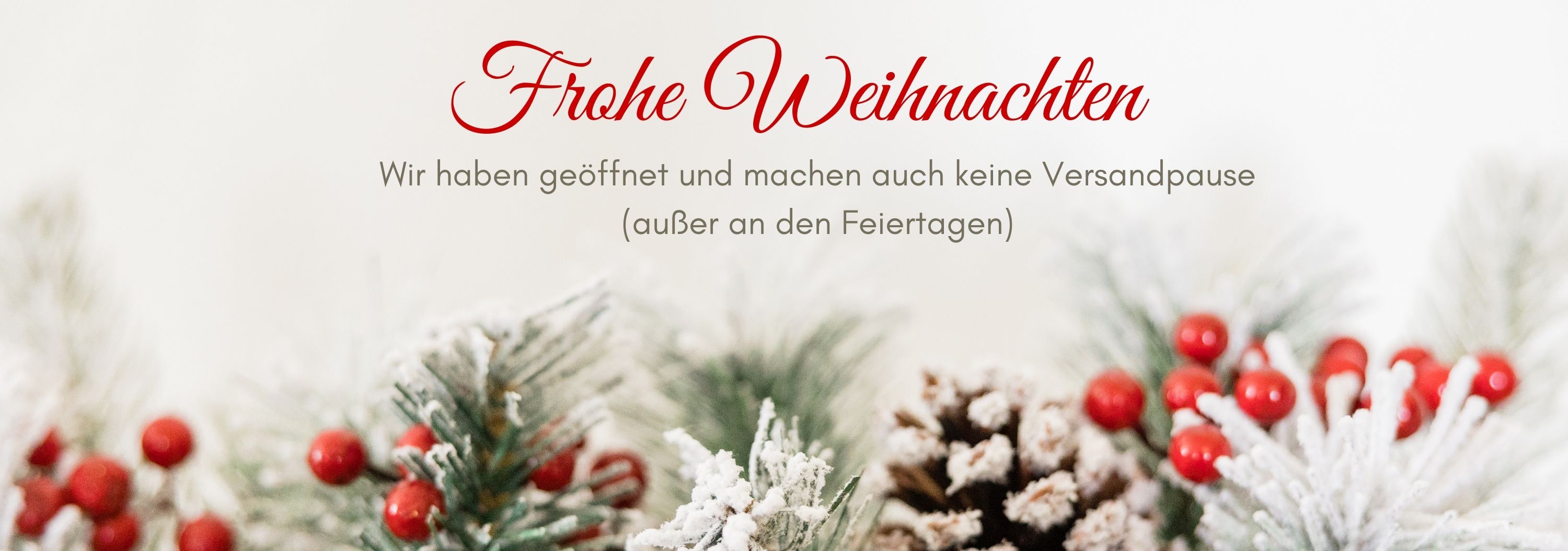 Frohe Weihnachten
