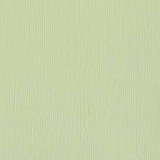 Bazzill Cardstock - Aloe Vera Mono 30,5x30,5 cm