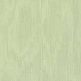 Bazzill Cardstock - Aloe Vera Mono 30,5x30,5 cm Bazzill Cardstock - Aloe Vera Mono 30,5x30,5 cm