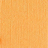 Bazzill Cardstock - 24 Karat 30,5x30,5 cm Bazzill Cardstock - 24 Karat 30,5x30,5 cm
