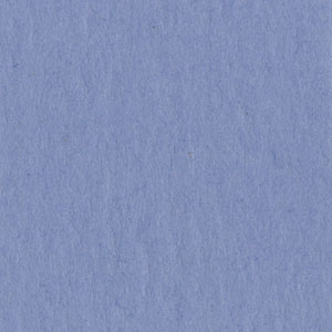 Bazzill Cardstock - Periwinkle 30,5x30,5 cm