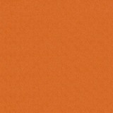Bazzill - dotted Cardstock - Festive 30,5x30,5 cm Bazzill - dotted Cardstock - Festive 30,5x30,5 cm
