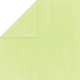 Mint Dot - Double Dot Cardstock 30,5x30,5x30,5 cm Mint Dot - Double Dot Cardstock 30,5x30,5x30,5 cm