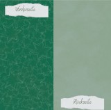 CD Designpapier - Basic - Tanne - Doodle Sterne un