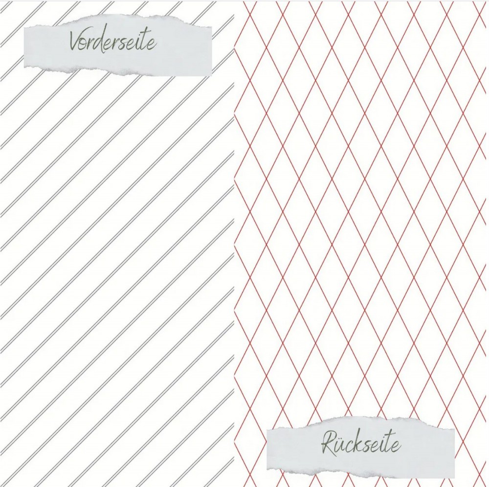 CD Scrapliebe - Dezembertagebuch - Rautengitter gr