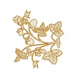 CD Die - Erdbeerpflanze