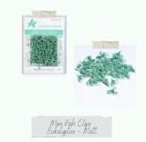CD Mini Fish Clip - eukalyptus - matt 50 Stück