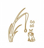 CD Die - Märchenpilz Frosch