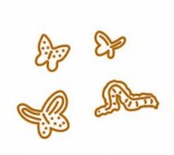 CD Die - kleine Gartenfreunde