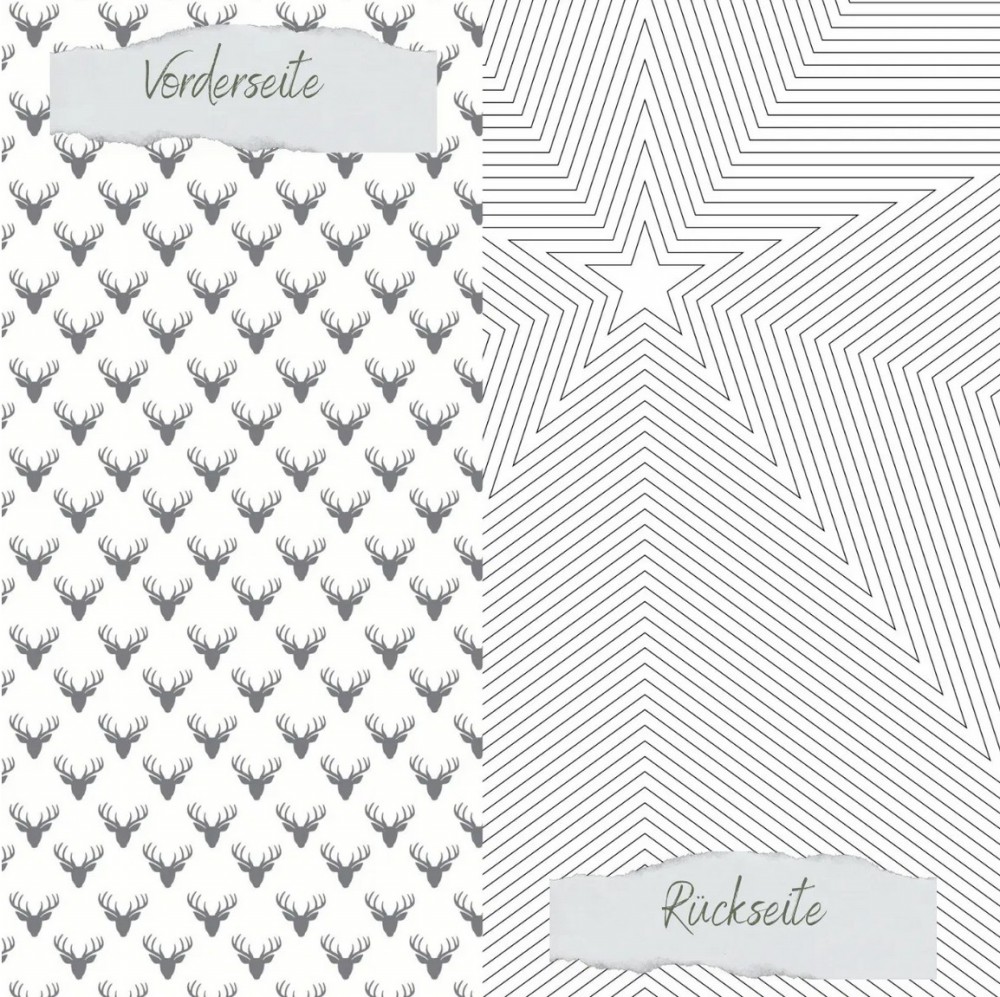 CD Scrapliebe - Dezembertagebuch - Sternhintergrun