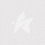 CD Designpapier - zartes Wintergrau 30,5x30,5 cm