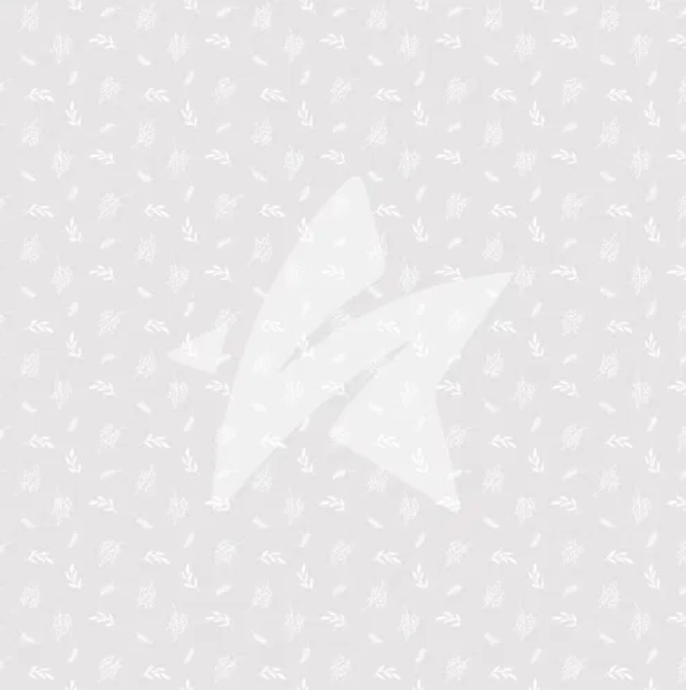 CD Designpapier - zartes Wintergrau 30,5x30,5 cm