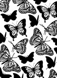 Butterflies - Embossing Folder von Darice Butterflies - Embossing Folder von Darice