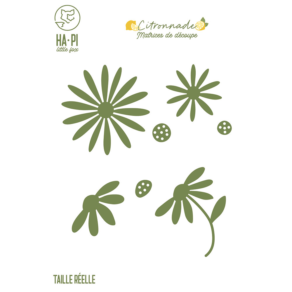 Matrices de découpe Marguerites von HaPi Little Fo