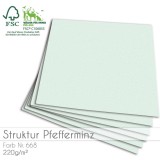 LaCreativ - Struktur - pfefferminz 30,5x30,5 cm