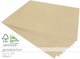 LaCreativ - Cardstock "Recycling" - Graskarton