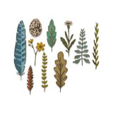 Sizzix Thinlits Die Set - 10PK Funky Nature 665215 Sizzix Thinlits Die Set - 10PK Funky Nature 665215
