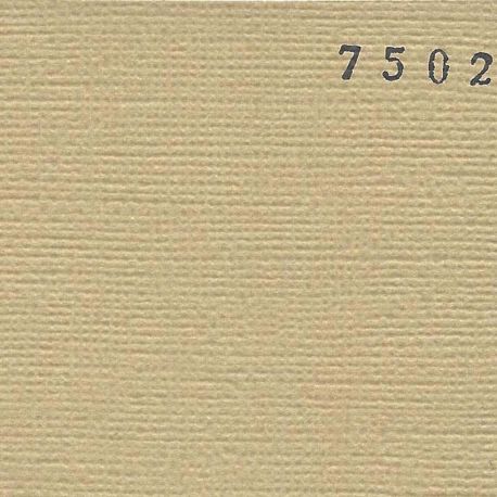 Cardstock - Mastic 30,5x30,5 cm