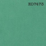 Cardstock - vert prasin 30,5x30,5 cm Cardstock - vert prasin 30,5x30,5 cm