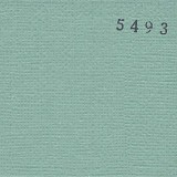 Cardstock - vert de gris 30,5x30,5 cm