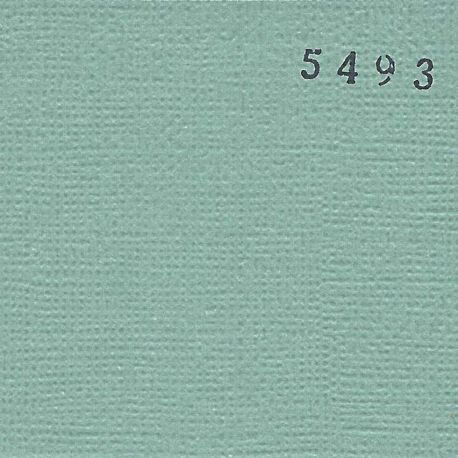 Cardstock - vert de gris 30,5x30,5 cm