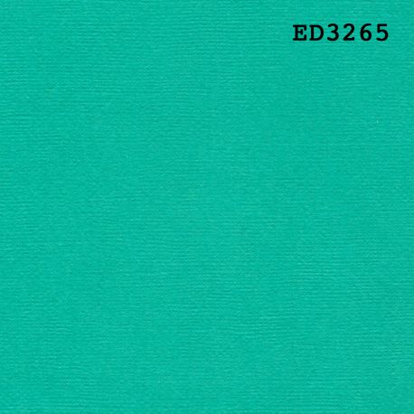 Cardstock - vert Ciboulette 30,5x30,5 cm