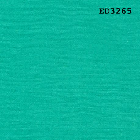 Cardstock - vert Ciboulette 30,5x30,5 cm - zum Schließen ins Bild klicken