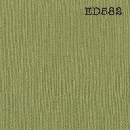 Cardstock - vert kiwi 30,5x30,5 cm - zum Schließen ins Bild klicken