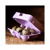 6er Wachteleier Schachtel Pappe - lavendel 6er Wachteleier Schachtel Pappe - lavendel