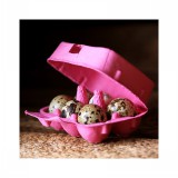 6er Wachteleier Schachtel Pappe - himbeer 6er Wachteleier Schachtel Pappe - himbeer