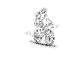The Great Outdoors - Wild Side Acrylic Stamp Set