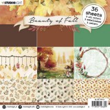 Beauty of Fall - pad nr. 13 von Studio Light 15,2x Beauty of Fall - pad nr. 13 von Studio Light 15,2x