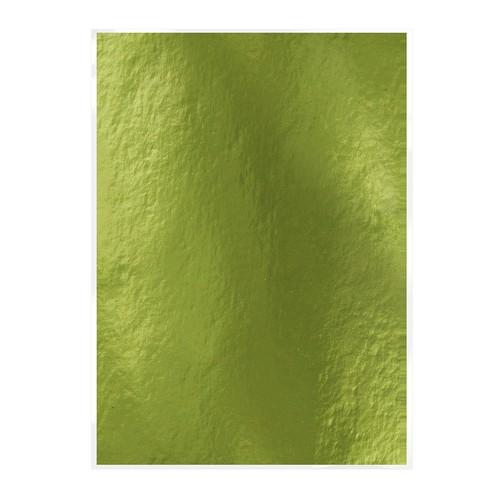 Tonic Studios mirror card - gloss - holly green