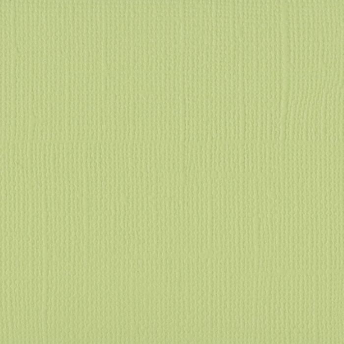 Florence Cardstock - anis textured 30,5x30,5 c