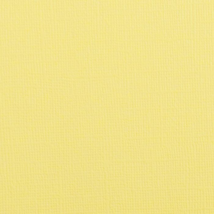 Florence Cardstock - crocus textured 30,5x30