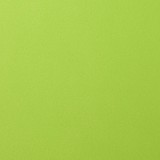Florence Cardstock - lime smooth 30,5x30,5 c