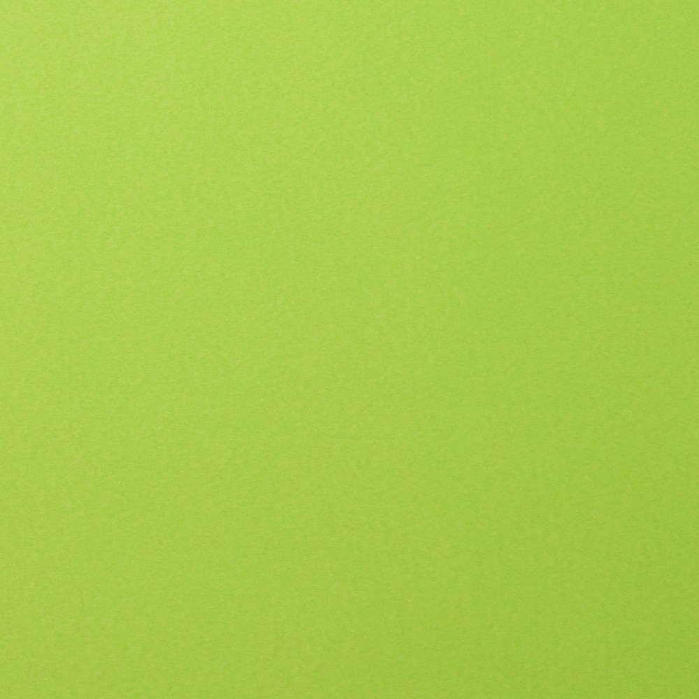 Florence Cardstock - lime smooth 30,5x30,5 c