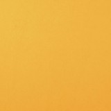 Florence Cardstock - bee smooth 30,5x30,5 cm Florence Cardstock - bee smooth 30,5x30,5 cm