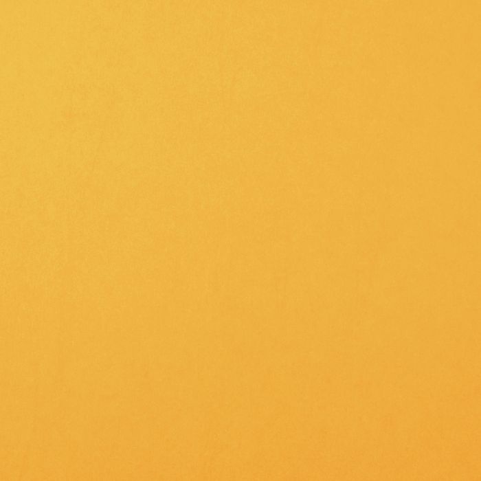 Florence Cardstock - bee smooth 30,5x30,5 cm - zum Schließen ins Bild klicken