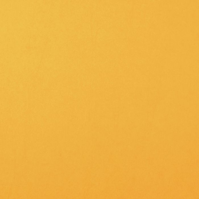 Florence Cardstock - bee smooth 30,5x30,5 cm