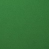 Broccoli - Florence Cardstock Smooth Broccoli - Florence Cardstock Smooth